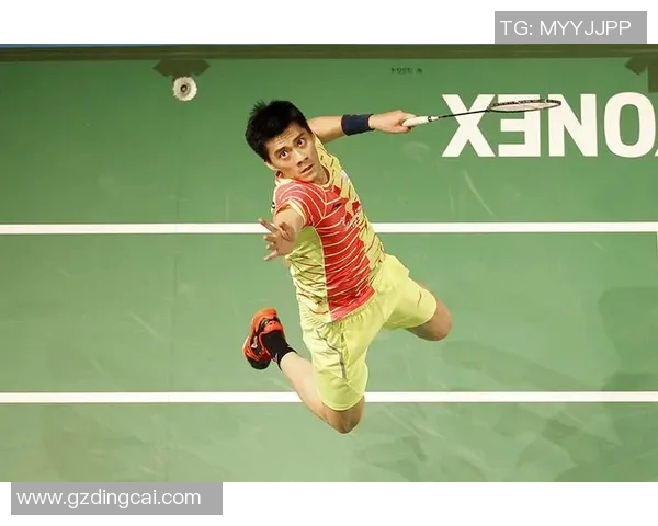 张楠傅海峰携手出战日本队决战羽坛巅峰再创辉煌
