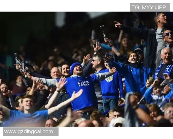 英超激战狼队迎战莱斯特城争夺关键三分全力以赴不容有失